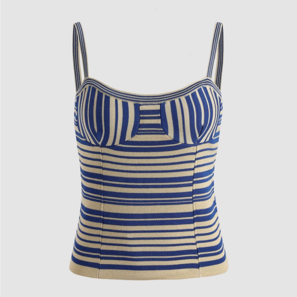 NWT CIDER blue stripe tank top